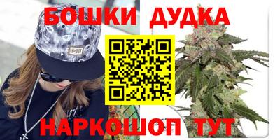 МДПВ Лесосибирск