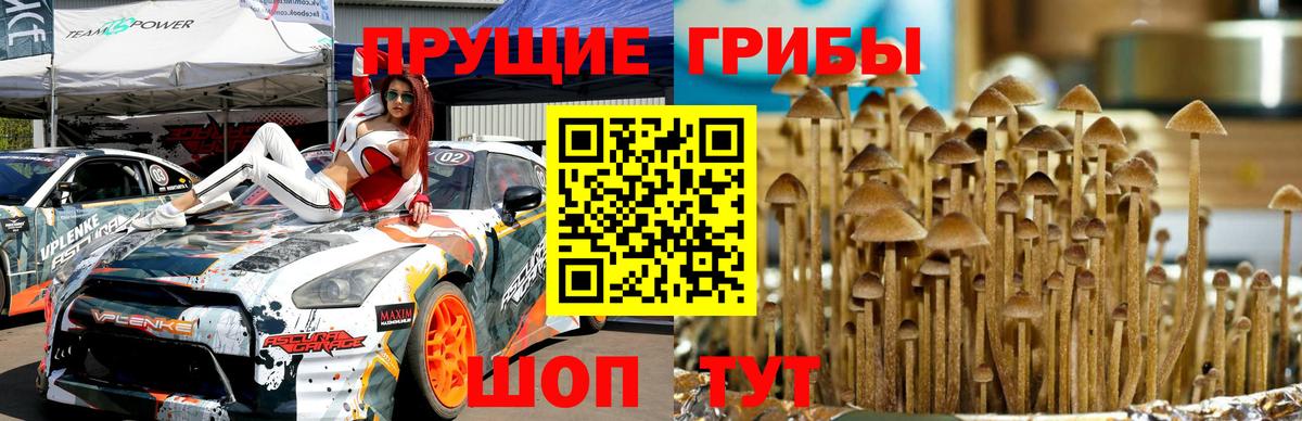 Галлюциногенные грибы прущие грибы  Псилоцибиновые грибы ЛСД  Вход с VPN  Бугуруслан 