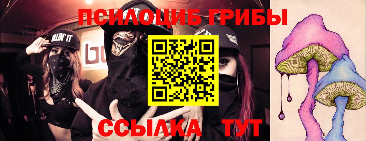 Галлюциногенные грибы прущие грибы Бугуруслан